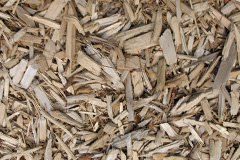 biomass boilers Eaglescliffe